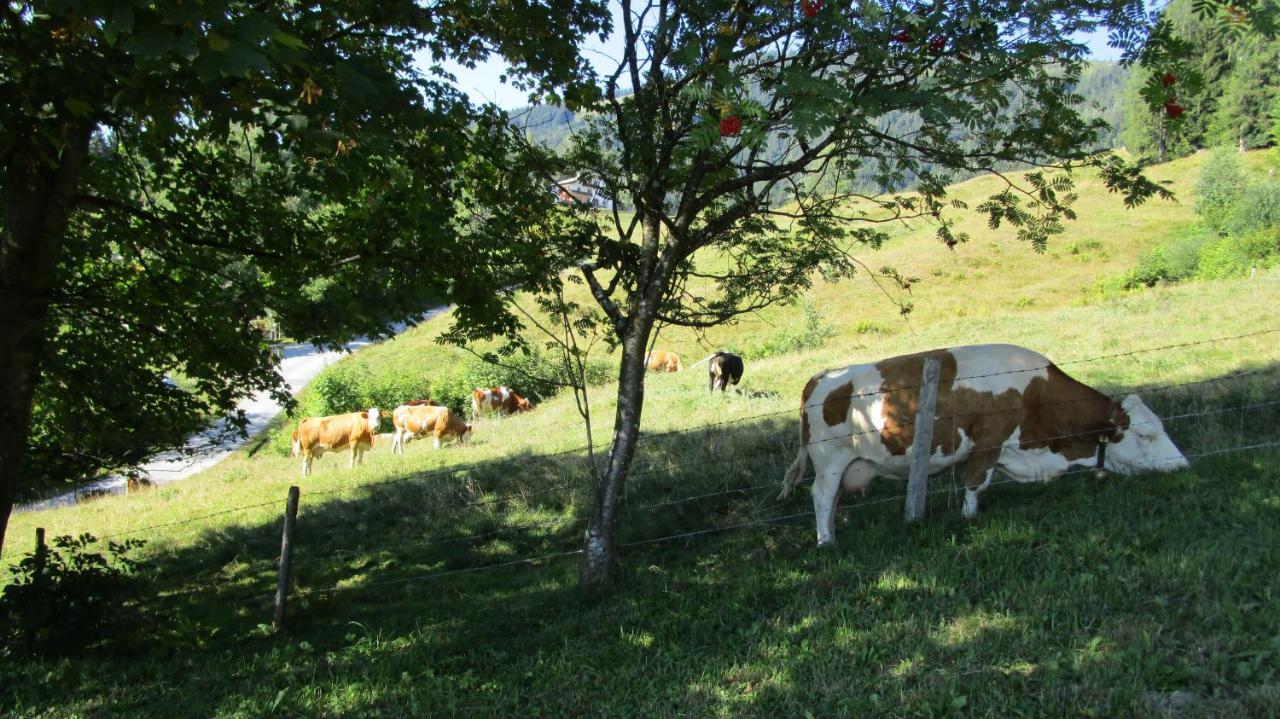 Ferienhaus Englbrecht Krispl Luaran gambar